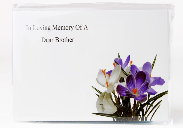 Picture of CARDS X50 ILM BROTHER